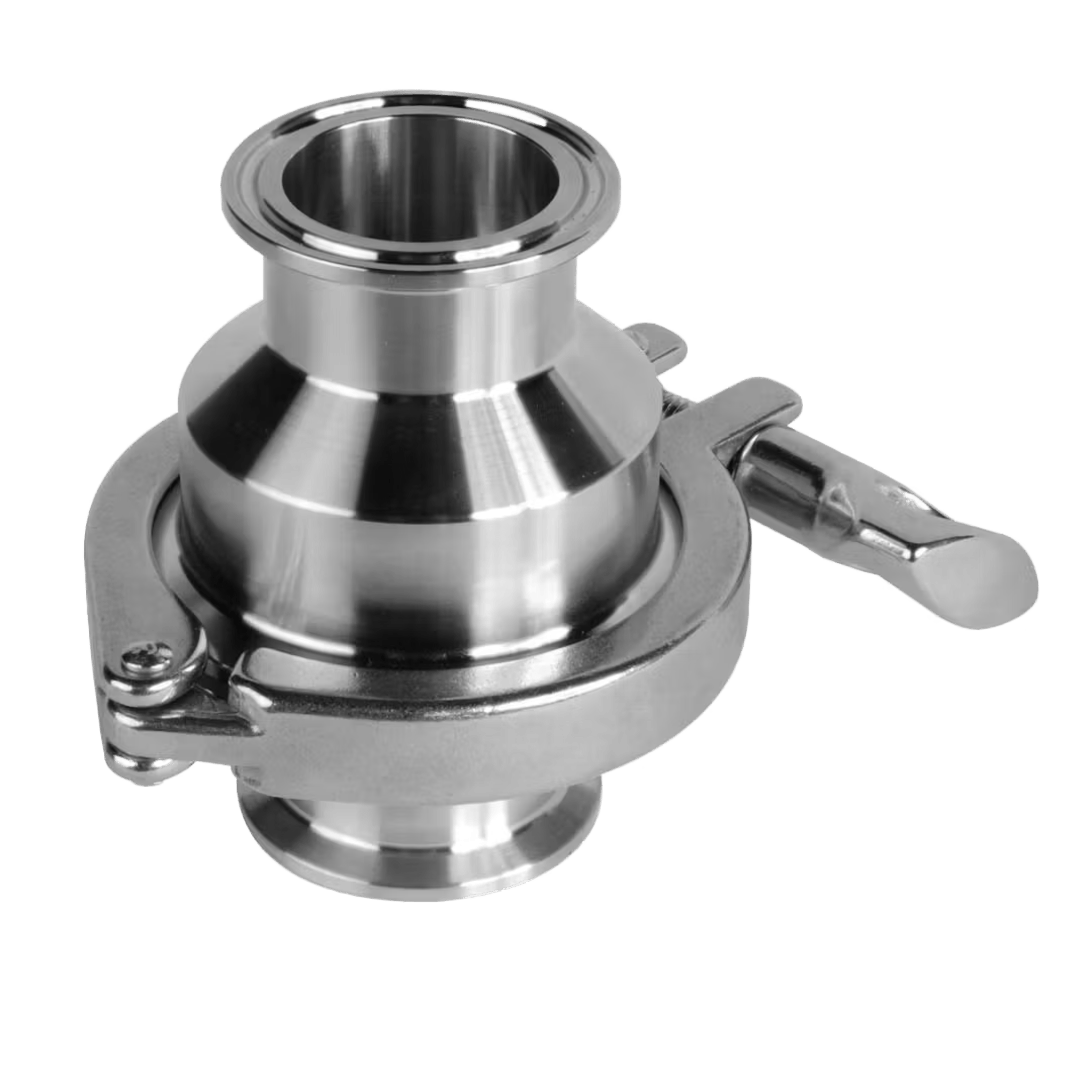 Check Valves