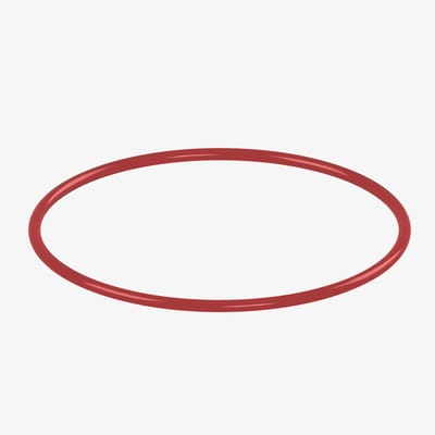 Lenticular Filter O-Ring