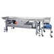 Mori TAV Sorting Table with Crusher (sold separately)